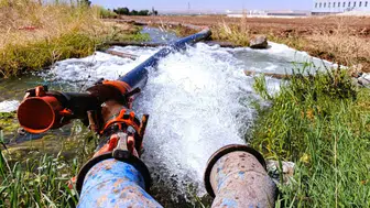 Urfa’da tarlalara su taşıyan birliklerin elektriği borç yüzünden kesildi