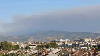 Çine ormanlarındaki yangın rüzgarın etkisiyle Efeler’e kadar uzandı