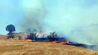 Keşan'da buğday tarlasında çıkan yangın 100 dekarı küle çevirdi