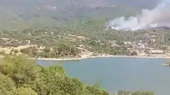 Aydın Çine’de orman yangını kamerada
