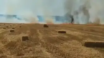 Nallıhan’da tarım arazisinde yangın paniği