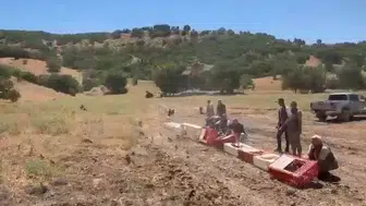Elazığ’da kene istilasına karşı 300 keklik göreve başladı