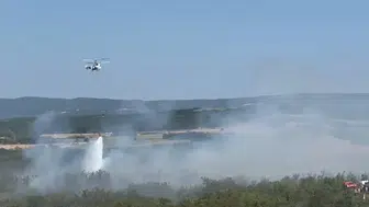 Şarköy'deki anız yangını ormanlık alana sıçradı