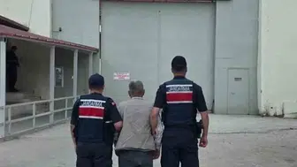 Söğüt kırsalında aranan hükümlü jandarmaya yakalandı