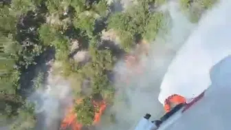 Çatalca ormanlarında yangın paniği