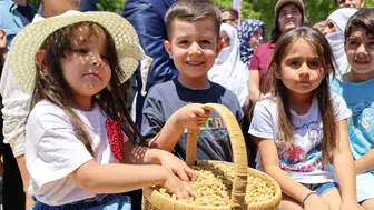 Tunceli'nin meşhur dutunda bu yıl bereketli hasat dönemi