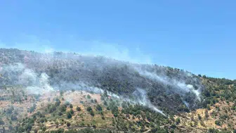 Aydın Sultanhisar alevlere teslim oldu