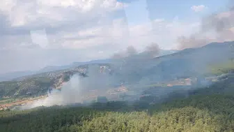 Muğla Yenice'de tarım alanında başlayan yangın ormana sıçradı