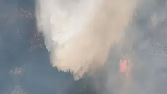 Manisa Akhisar'daki orman yangınında ekipler alevleri kontrol altına almaya çalışıyor
