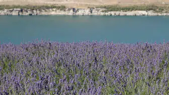 Karapınar rotanızda Acıgöl ve lavanta kokulu molalar sizi bekliyor