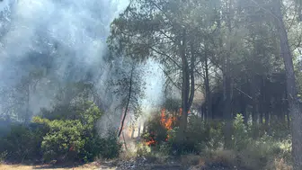 İzmir'de iki orman yangınına sebep olanlara gözaltı