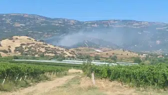 Manisa Sarıgöl'de ormanlık alanda yangın alarmı