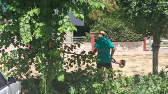 Efeler’de parklar yaz sezonuna hazırlandı