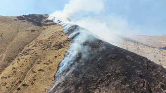 Elazığ’da bir izmarit 100 dönümü küle çevirdi