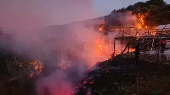 Antalya yangınlarla boğuştu 3 günde 34 farklı nokta alev aldı