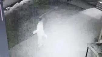 Kocaeli’de cami avlusunda uyarı yaptığı imam darbedildi