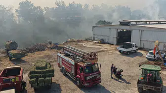 Balıkesir alevlere teslim oldu