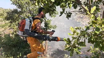 Hazro’da orman yangını 15 dönümlük alanı kül etti