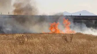 Karaman'da kuru ot yangını paniği