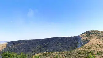 Afyonkarahisar yangınında 150 hektarlık arazi küle döndü