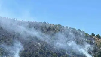 Sultanhisar’da orman yangını korkuttu