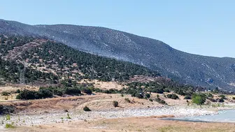 Eğirdir Gölü kıyısında iki ayrı noktada orman yangını çıktı