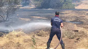 Didim’de alevler evlere sıçramadan söndürüldü