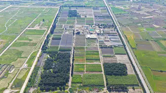 Manisa ormanları için fidan mesaisi hız kesmiyor
