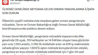 Türkiye orman yangınlarıyla havadan ve karadan mücadele ediyor