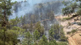 Fethiye Göcek ormanlarında alevlerle amansız mücadele