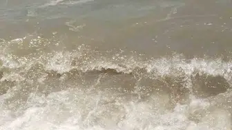 Bodrum denizindeki kirlilik sonrası savcılık harekete geçti