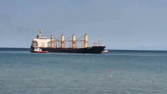 Tekirdağ açıklarında çeltik yüklü dev gemi karaya oturdu