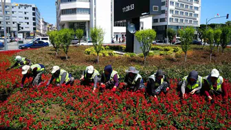 Samsun’un parklarını kadınların emeği güzelleştiriyor
