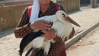 Edirneli kadının duyarlılığı yaralı leyleği hayata bağladı