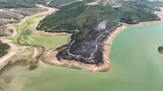 Malkara’daki orman yangını 80 dekar alanı küle çevirdi
