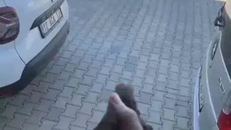 Bingöl’de apartman boşluğunda mahsur kalan kuş kurtarıldı