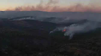 Ayvalık yangınında Tıfıllar Köyü’nün ağır bilançosu gün yüzüne çıktı