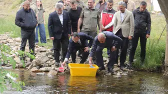 Ordu’nun derelerine 35 bin yeni alabalık bırakıldı