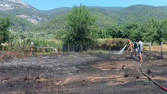 Menteşe’de korkutan yangın ormana ulaşmadan durduruldu