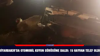 Feci kaza: Sürüye çarpan otomobil ortalığı savaş alanına çevirdi