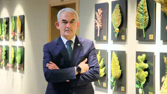 Ormanların mor bereketi Türkiye’ye döviz kazandırıyor