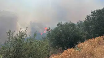 Ayvacık’ta rüzgarın körüklediği yangın ormanlık alana sıçradı