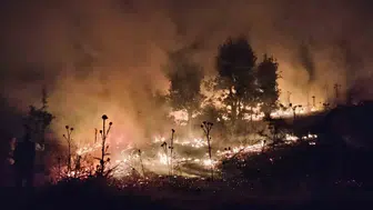 Şırnak’ta hasat vakti büyük kayıp