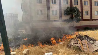 Siirt Kurtalan'da site bahçesinde korkutan otluk yangını