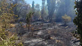 Sandıklı’da çıkan ot yangını köylüleri korkuttu