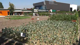 Şehrin göbeğinde minik çiftçiler toprağa dokundu