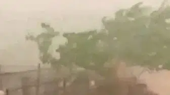 İpsala'da aniden bastıran dolu tarlaları vurdu