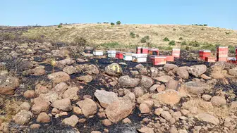 Karakoçan'da alevler arı kovanlarını yuttu