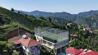 Rize’de yer kalmayınca çay alım yerini halı sahaya çevirdiler