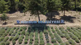Bodrumlu gençler toprağı ve üretimi öğreniyor